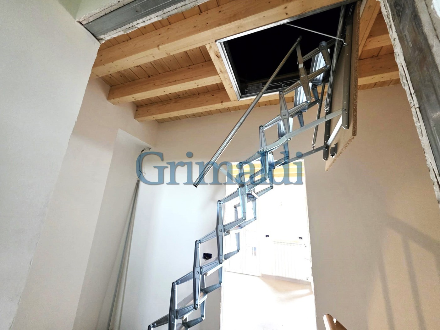 9e729fc7-dece-40d0-9535-98249b437450.jpg
