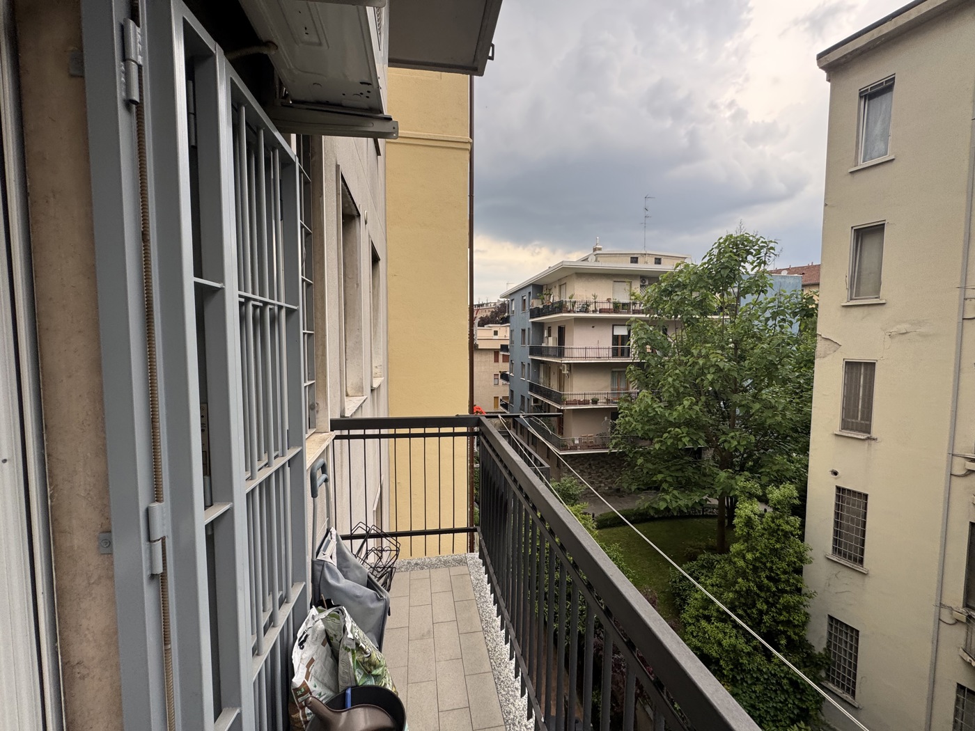 IMG_7380.jpeg