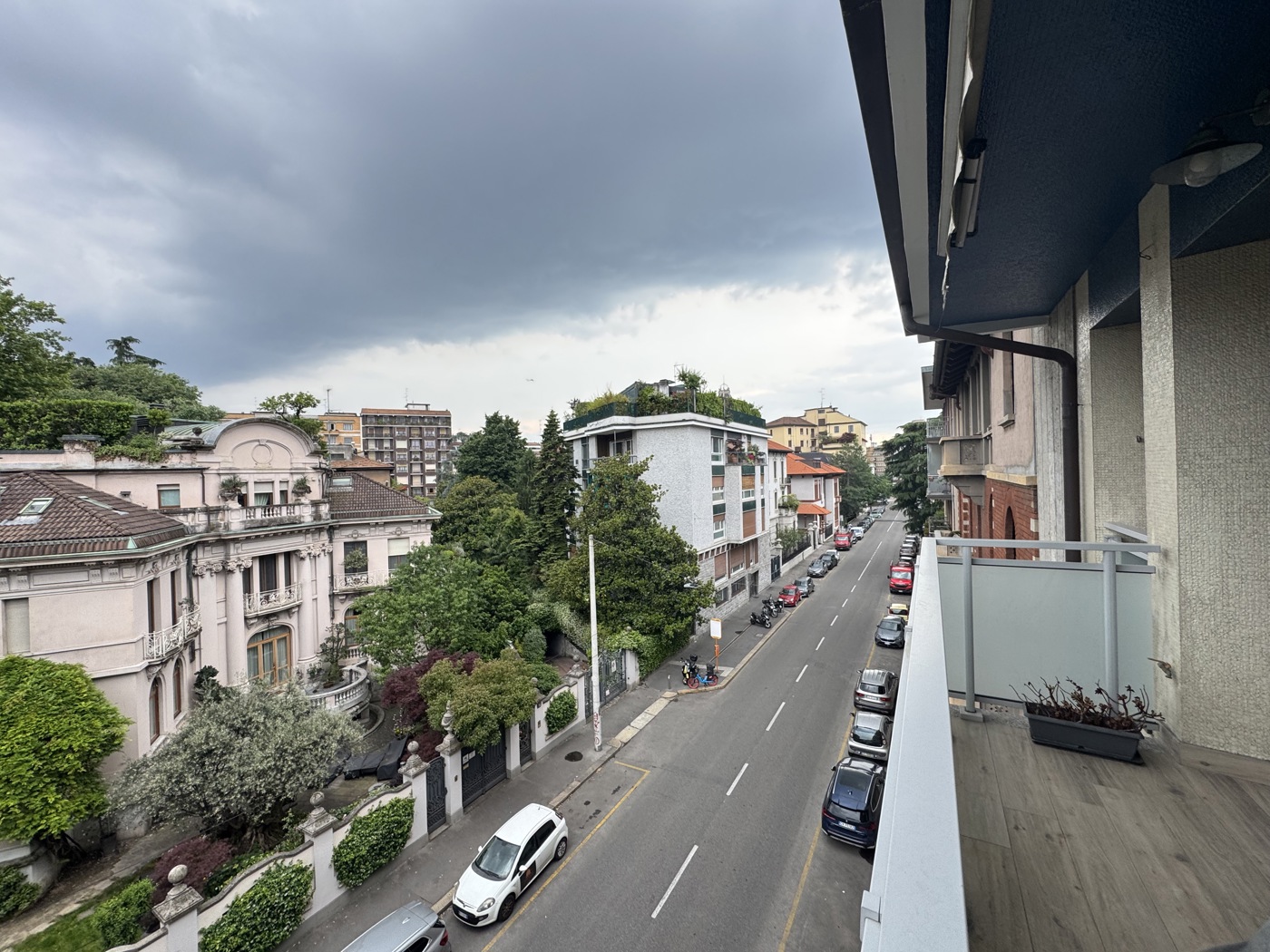 IMG_7362.jpeg