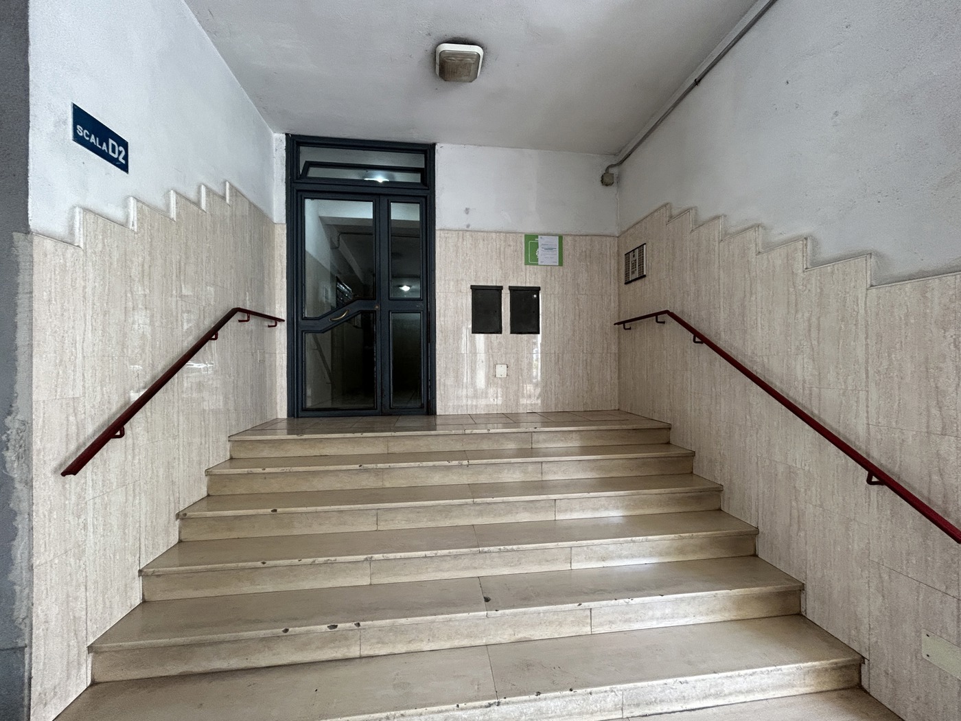 19.JPG