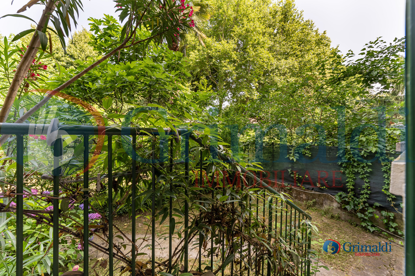 MBJ02608-HDR.jpg