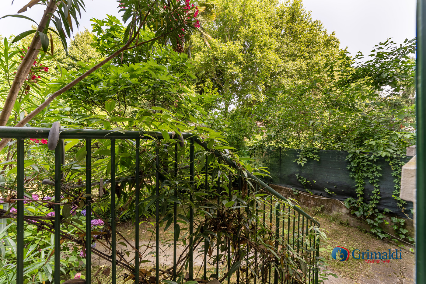 MBJ02608-HDR.jpg