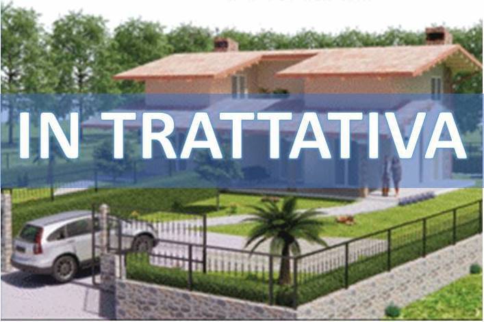 IMMAGINE IN TRATTAVIVA PONZA DX.jpg