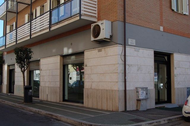 DSC_0005 (Copia).JPG