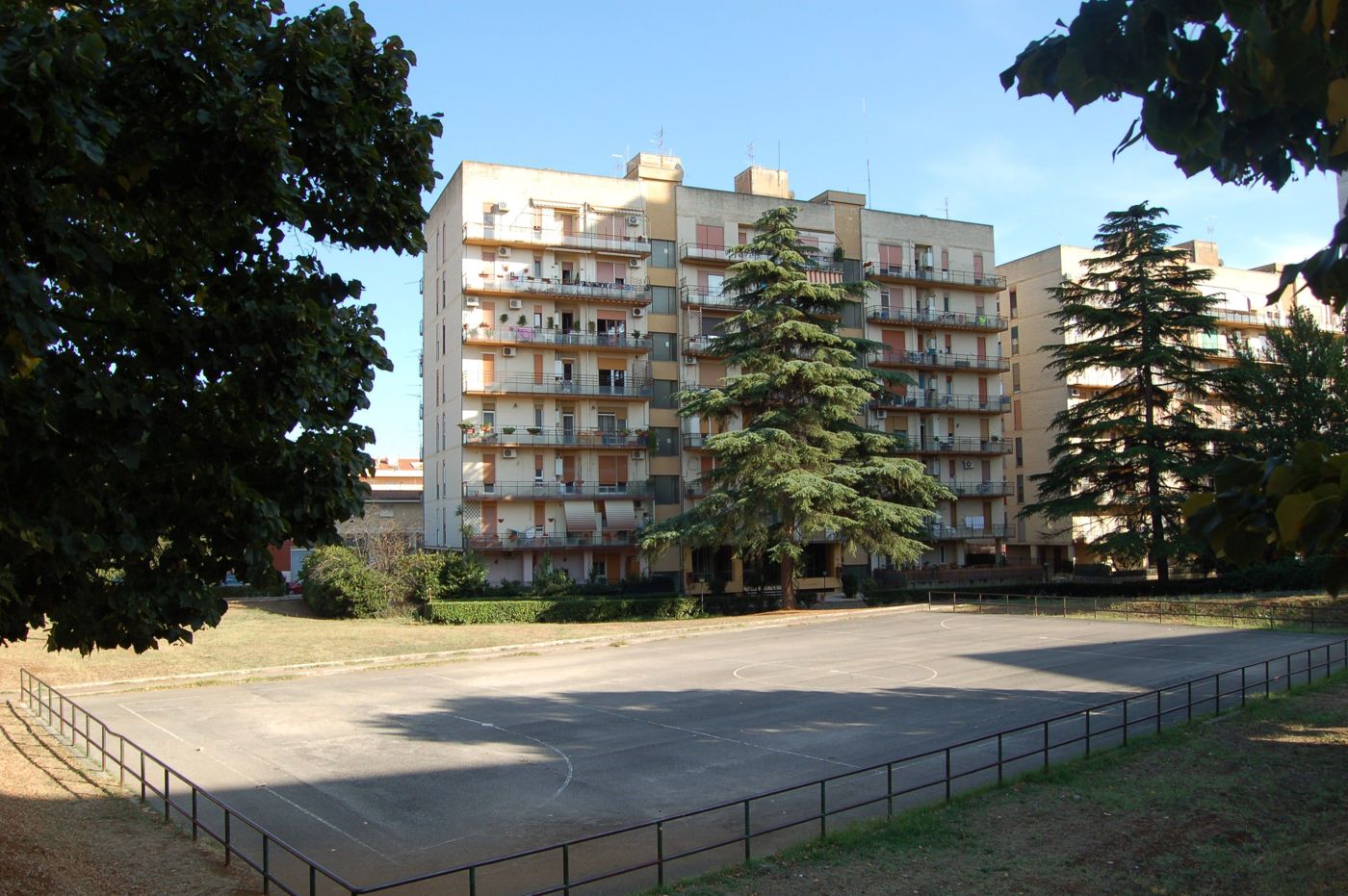 DSC_0156-min.JPG