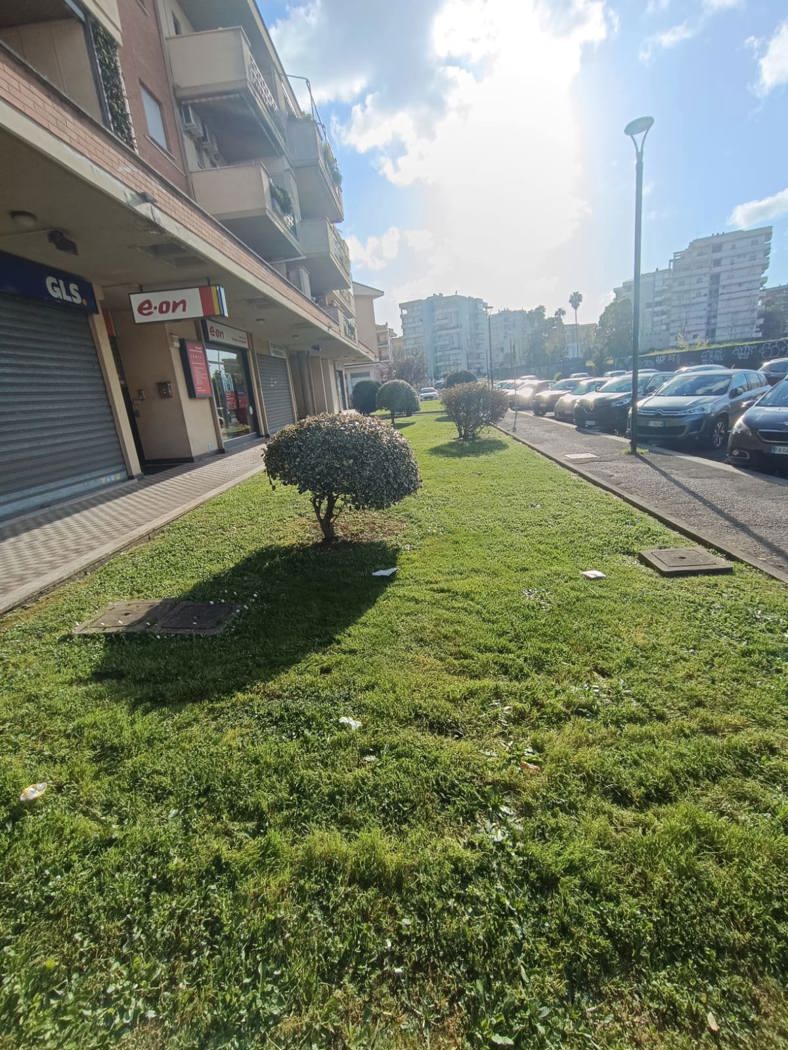 giardino.jpg