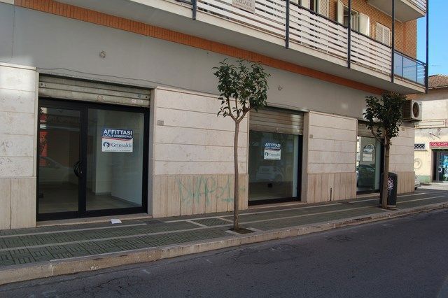 DSC_0003 (Copia).JPG