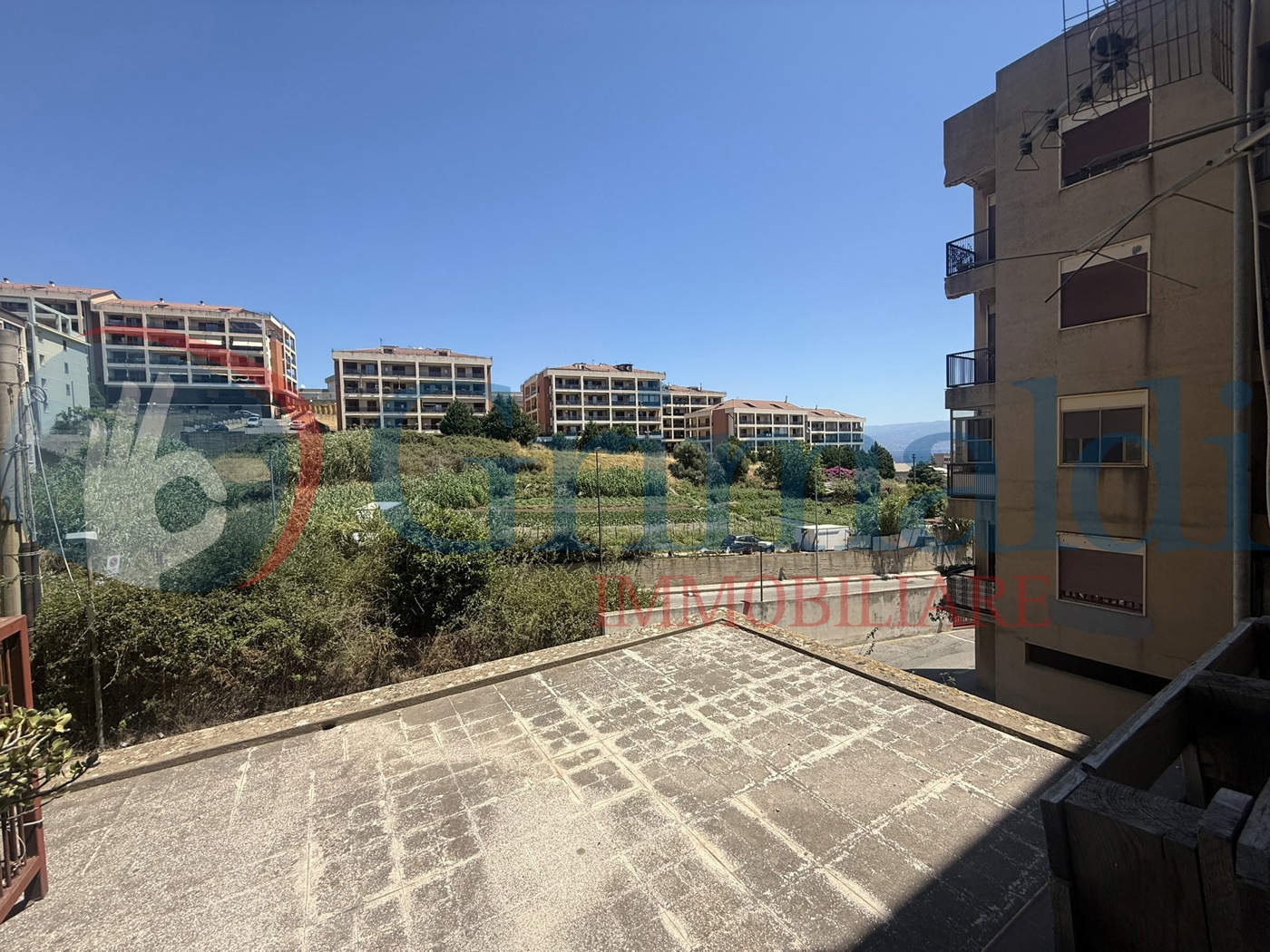 IMG_2053.JPEG