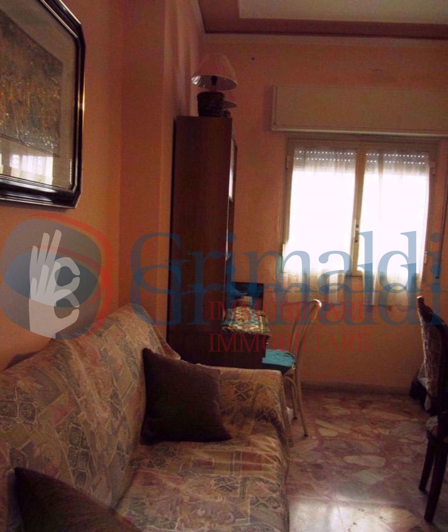 2e033dd2-85b9-4198-a3f4-908294324856-y.jpg