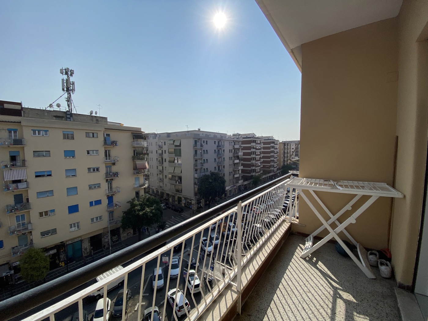 IMG_1342.JPEG