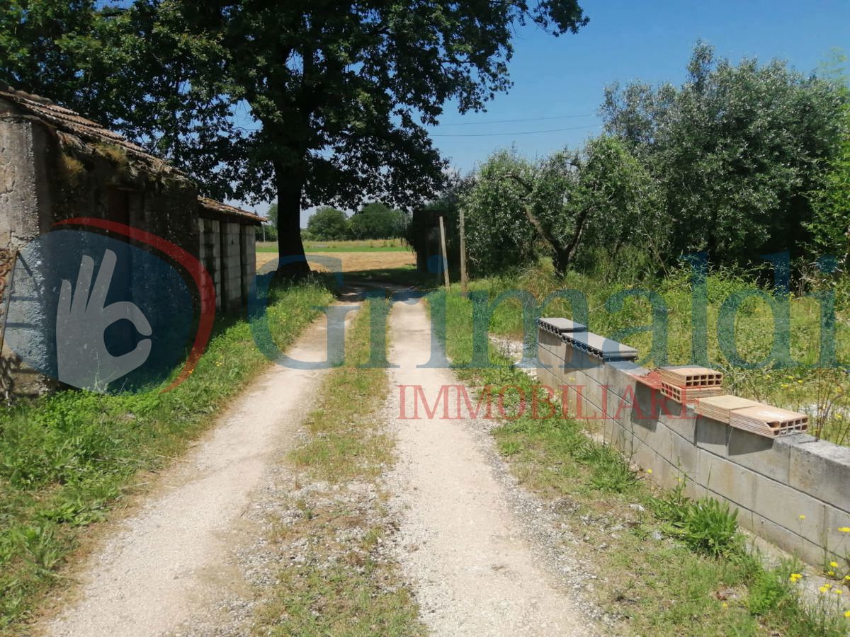 viale d'accesso.jpg