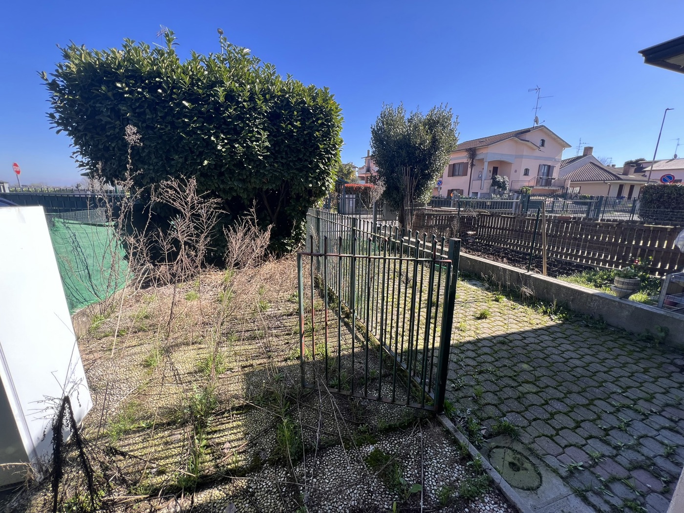 IMG_9063.JPEG