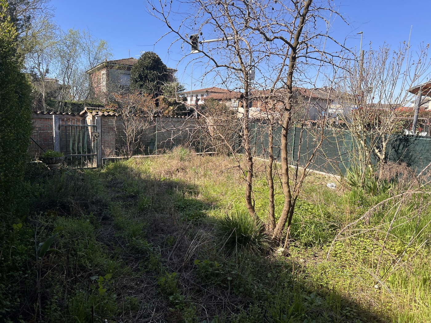 IMG_9165.JPEG