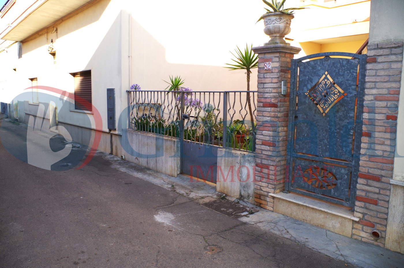 IMGP2608.JPG