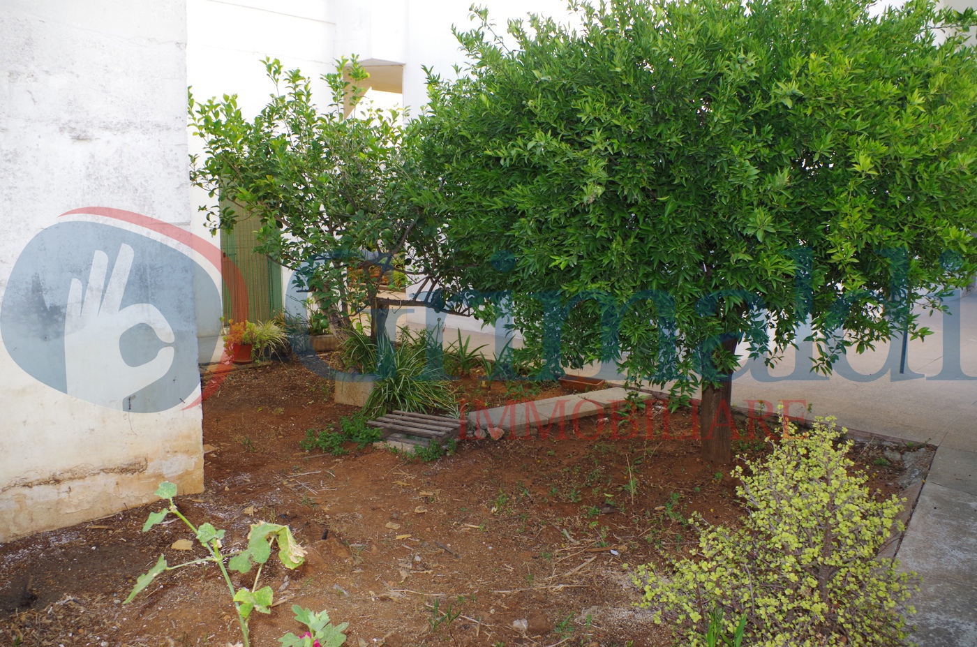 IMGP2672.JPG