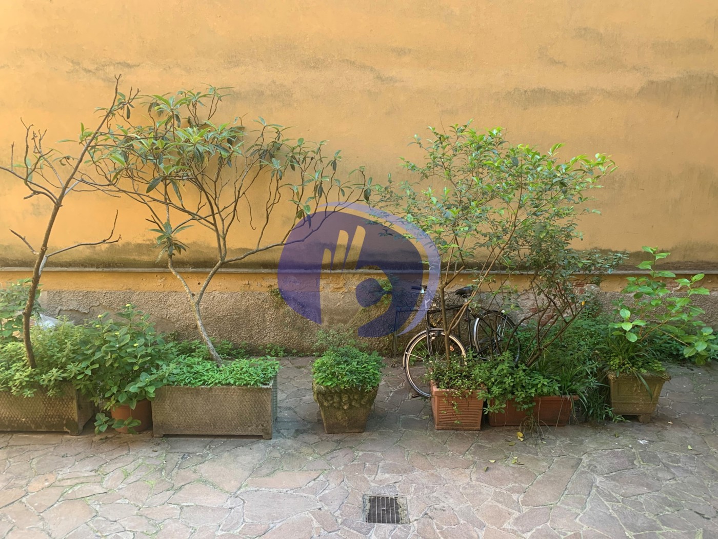 cortile int..jpg