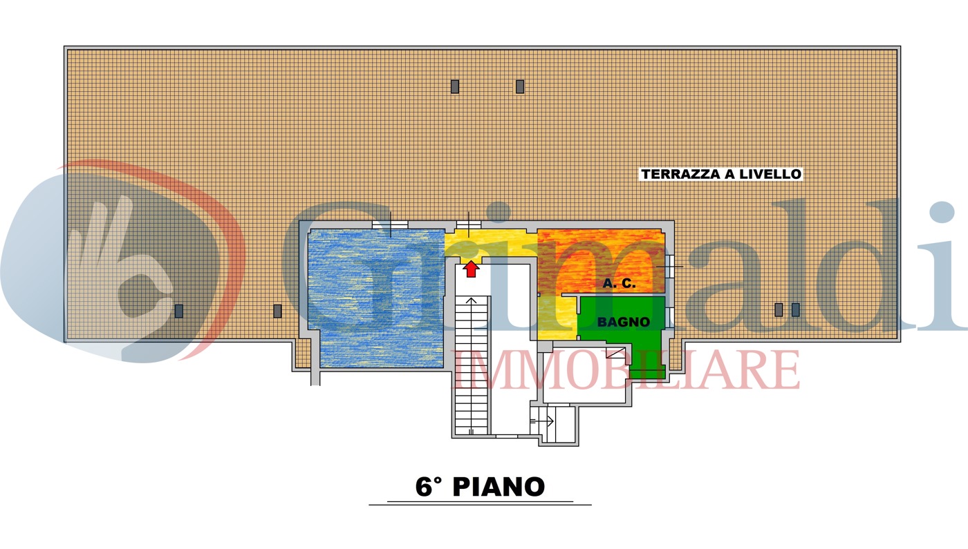 planimetria_COLORE.jpg