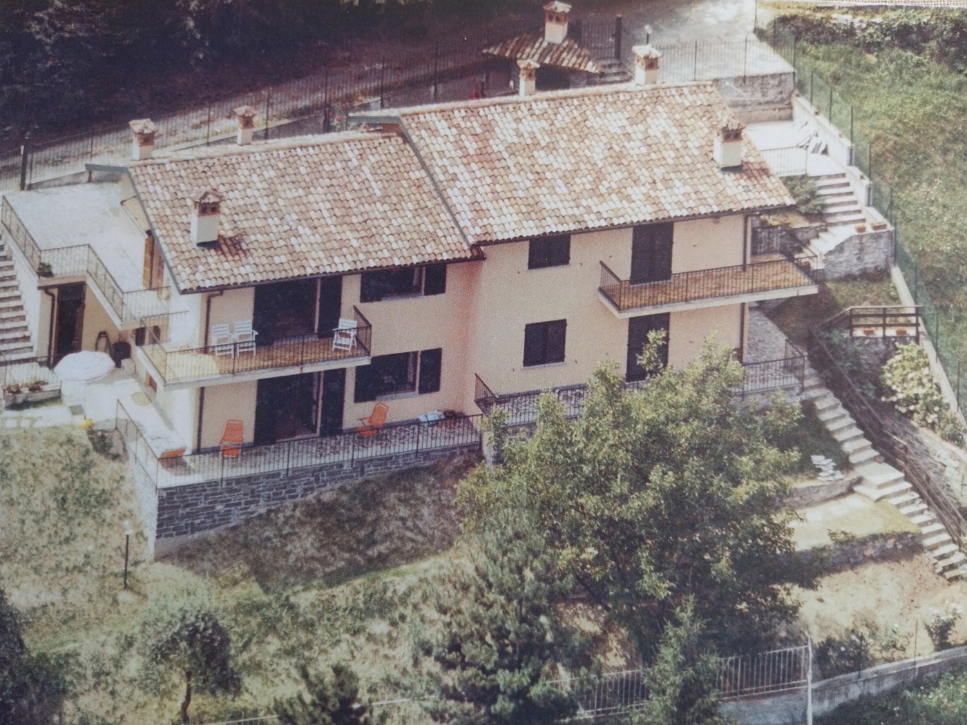 cazzola.jpg