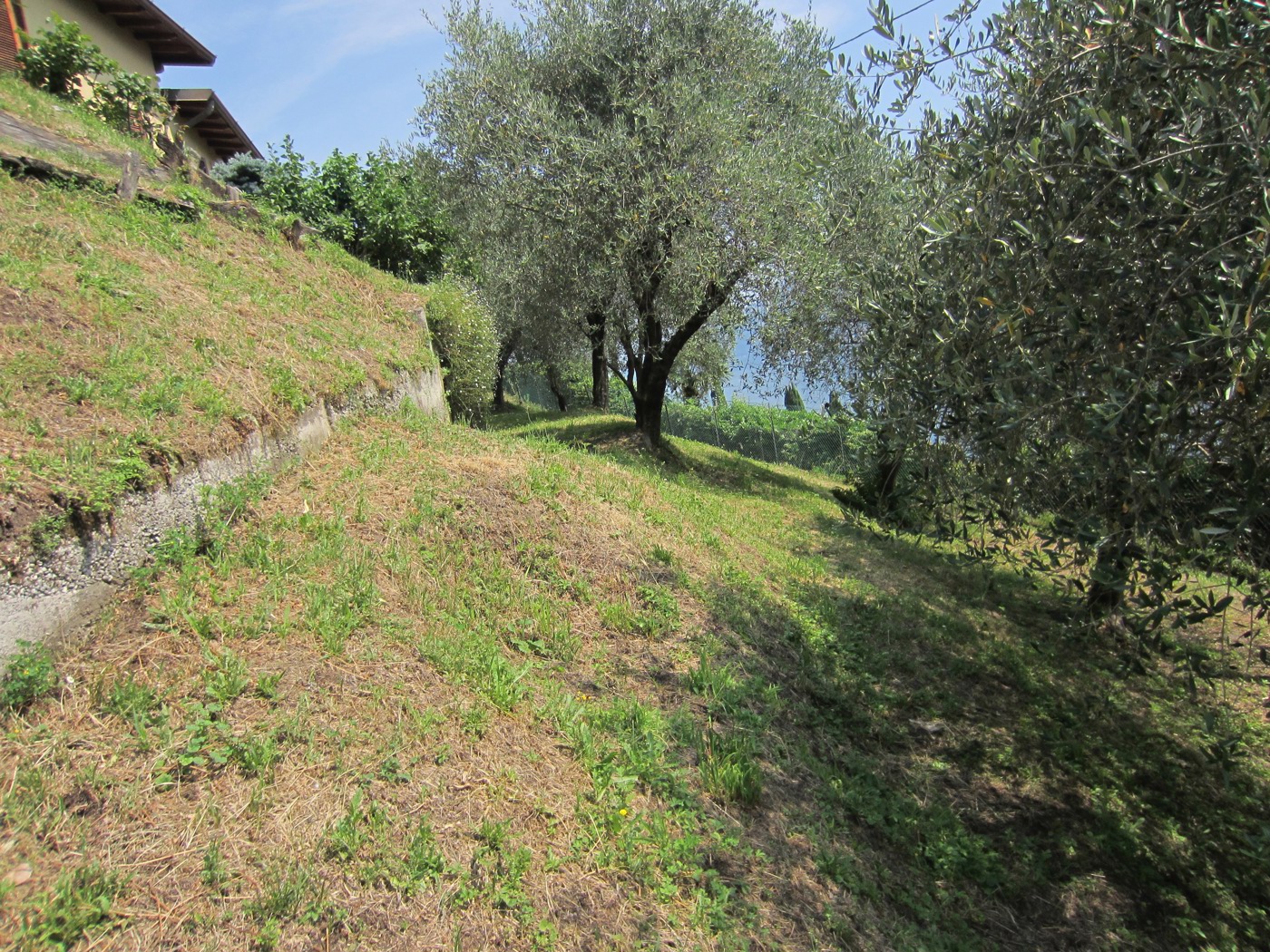 IMG_5144.JPG