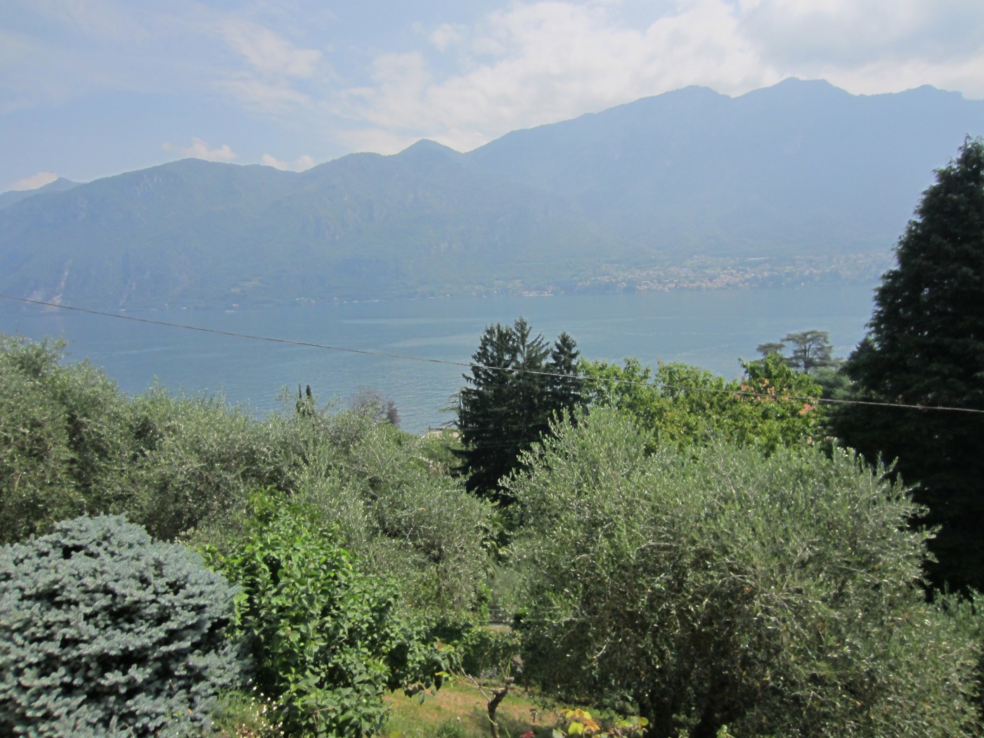 IMG_5167.JPG