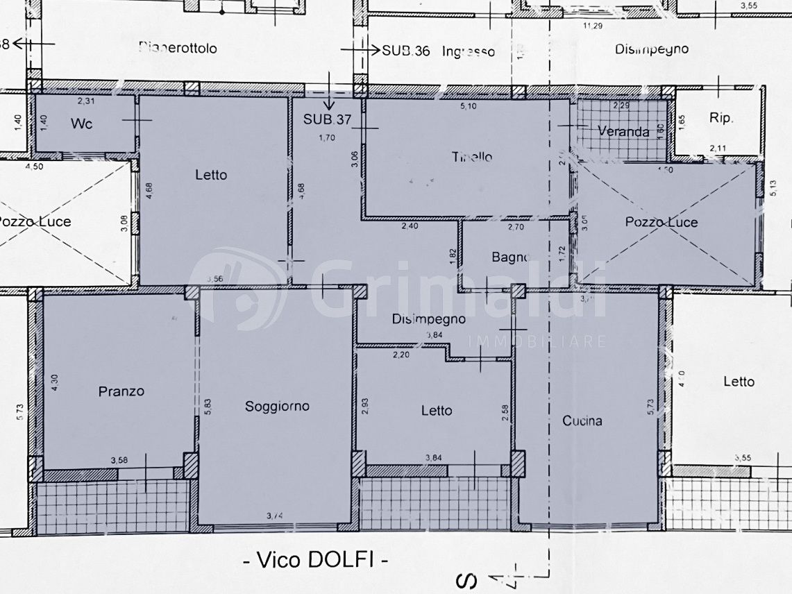 pln vico dolfi.jpg