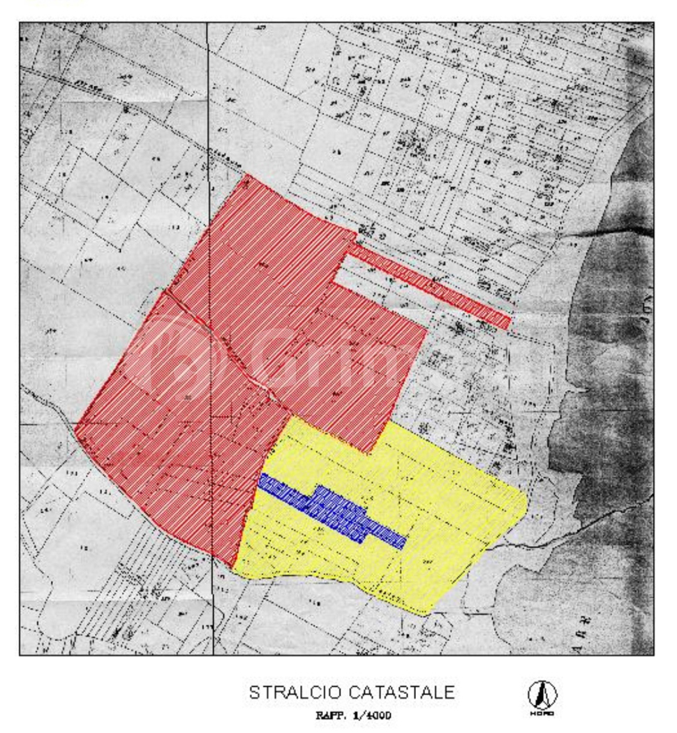 Stralcio Catastale_Zona In Rosso.jpg