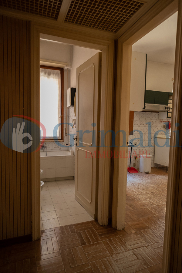 Foto camilluccia-23.jpg
