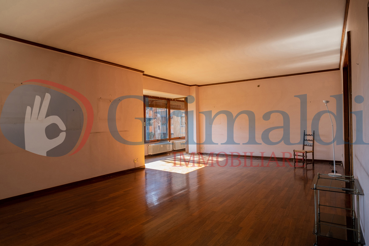 Foto camilluccia-3.jpg