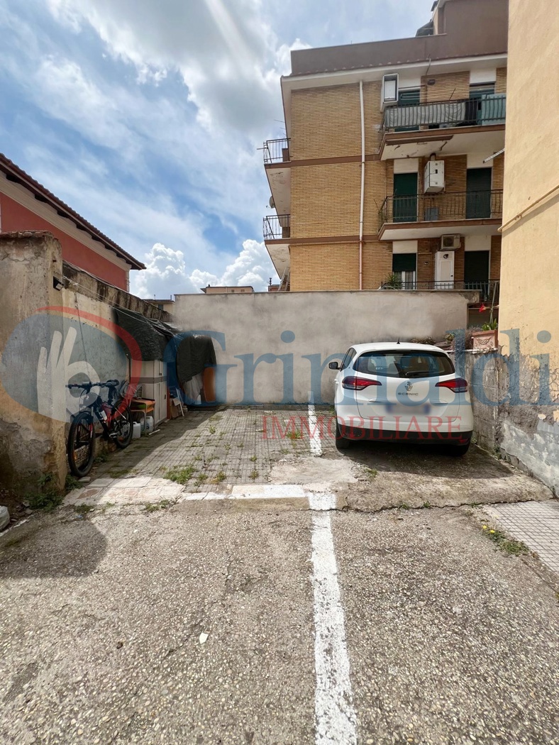 p.auto.jpg