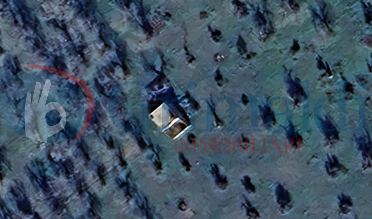 PLAN. 3.png