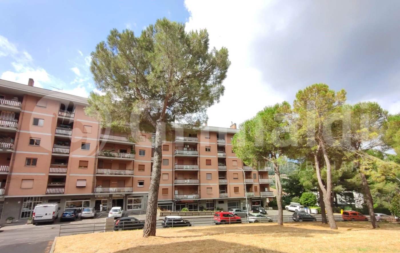 edificio (2).jpeg