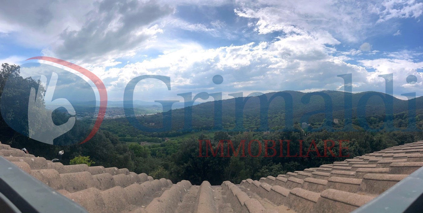 vista panoramica.jpeg