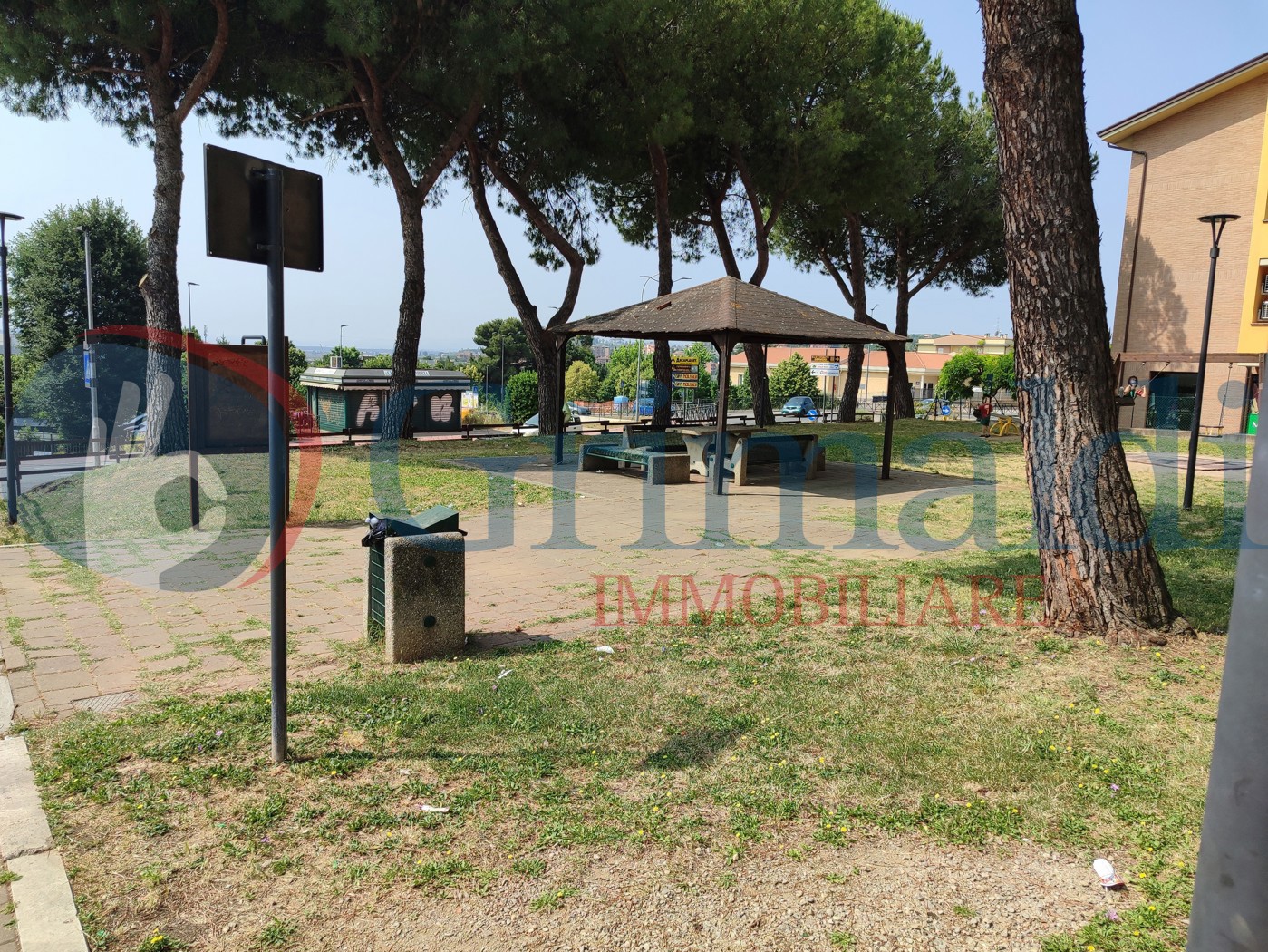 parco (2).jpg