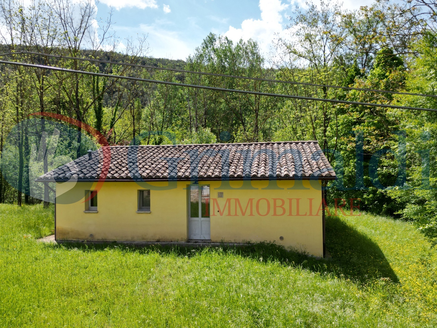 DJI_0011.JPG
