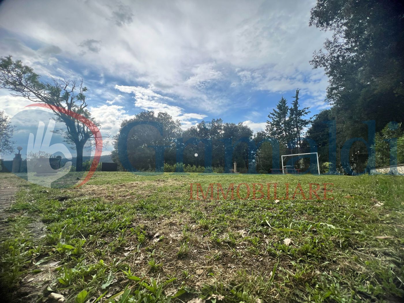 terreno.jpeg