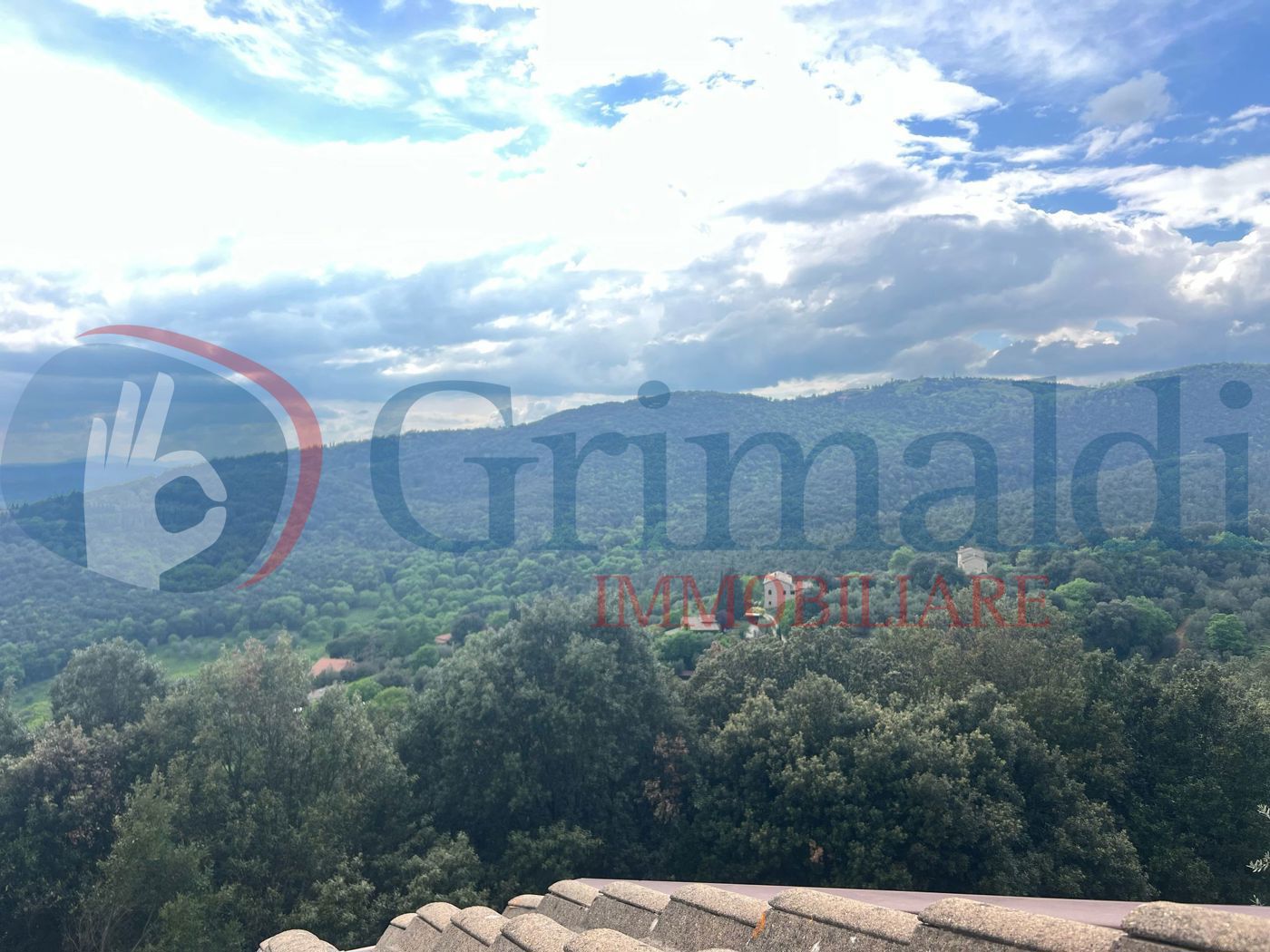 panorama..jpeg