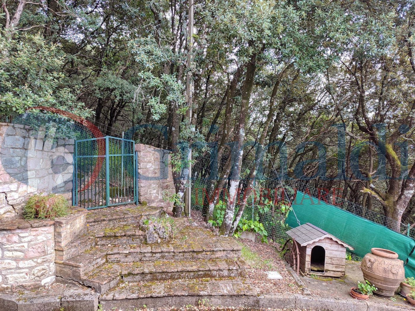parco bosco.jpeg