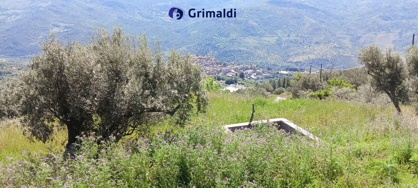 foto 03.jpg