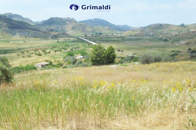 foto 01.jpg