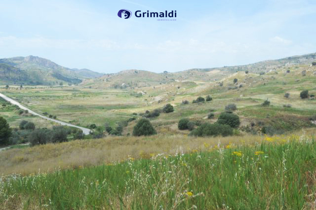 foto 09.jpg