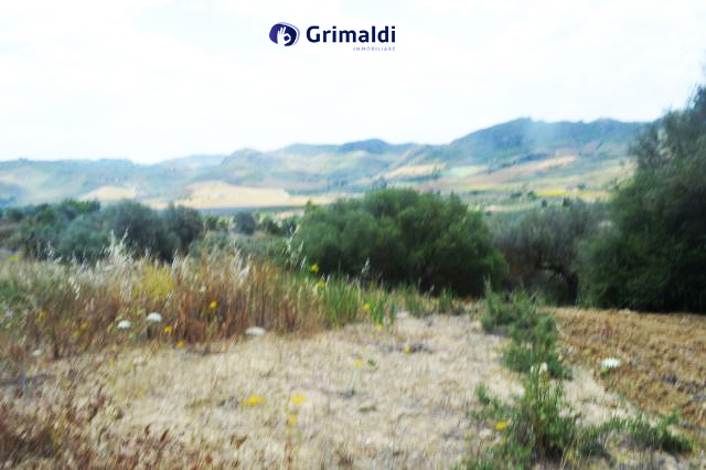 foto 06.jpg