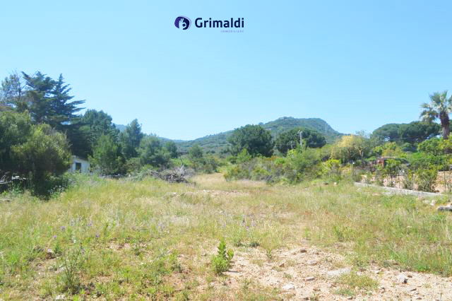 foto 02.jpg