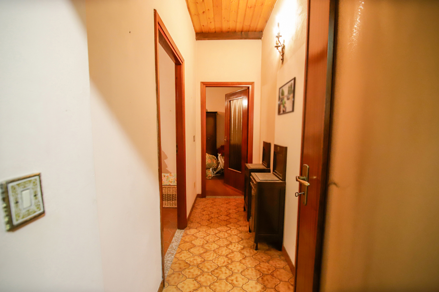 _MG_3101.JPG