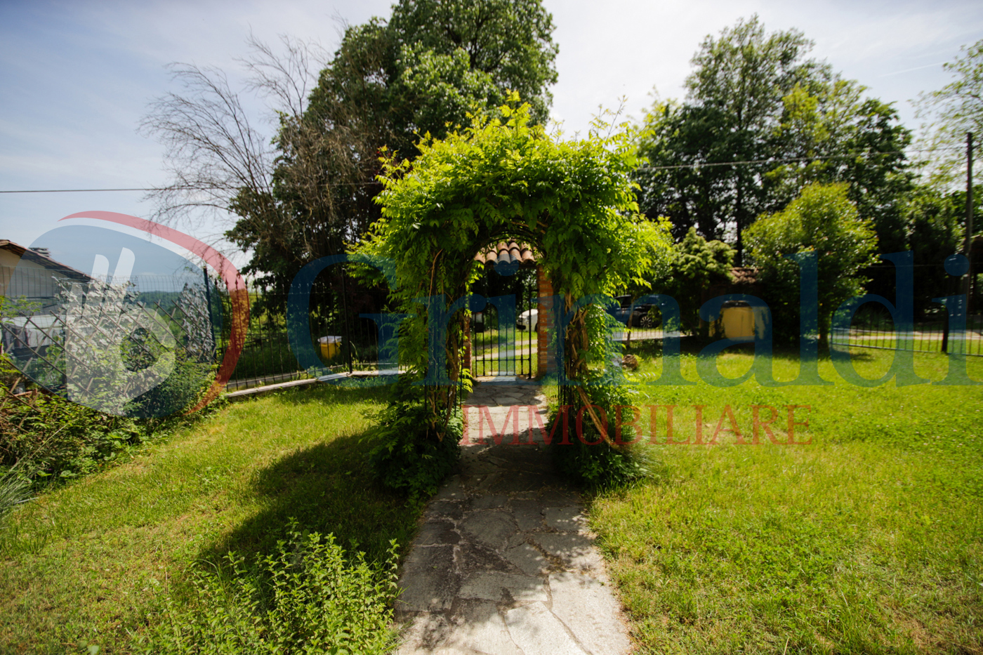 _MG_9082.JPG