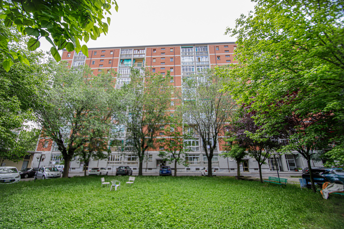 _MG_8598.JPG