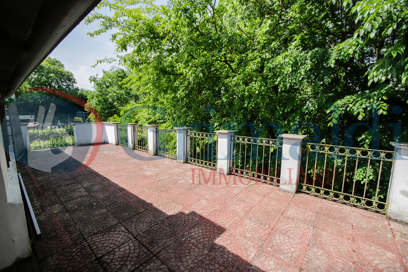 _MG_9125.JPG