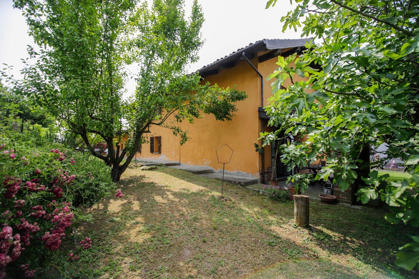 Giardino