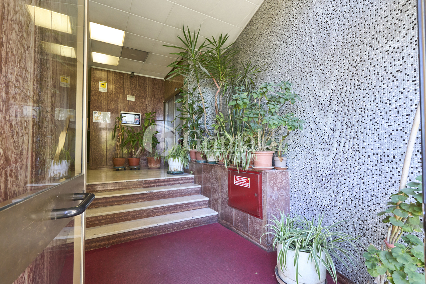 InOut_GV_09509.jpg