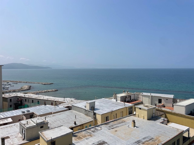IMG_0660.jpg