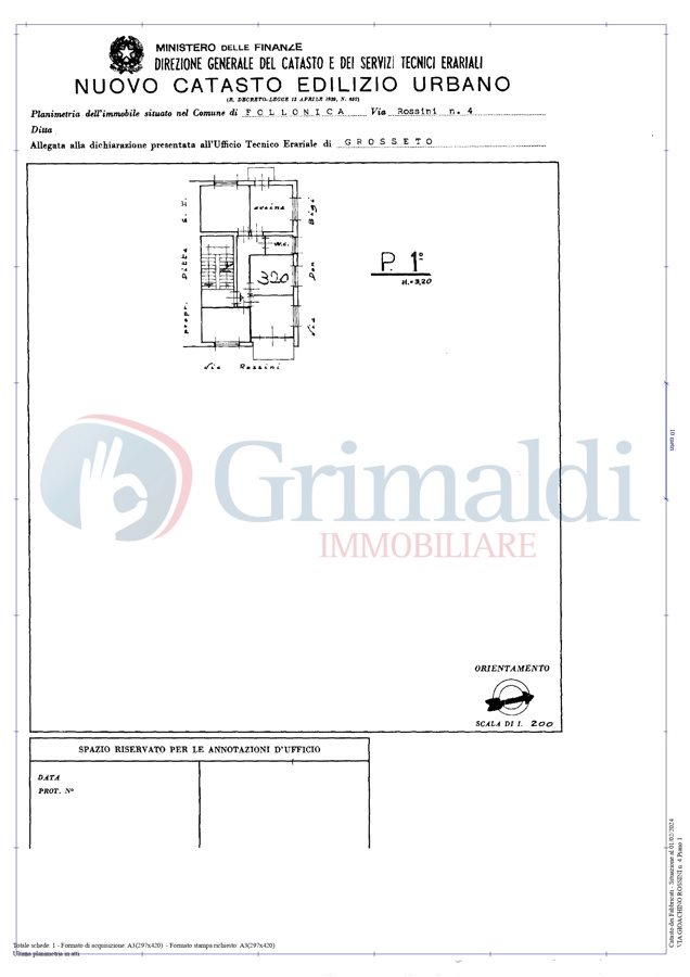 pln giannotti p1.jpg